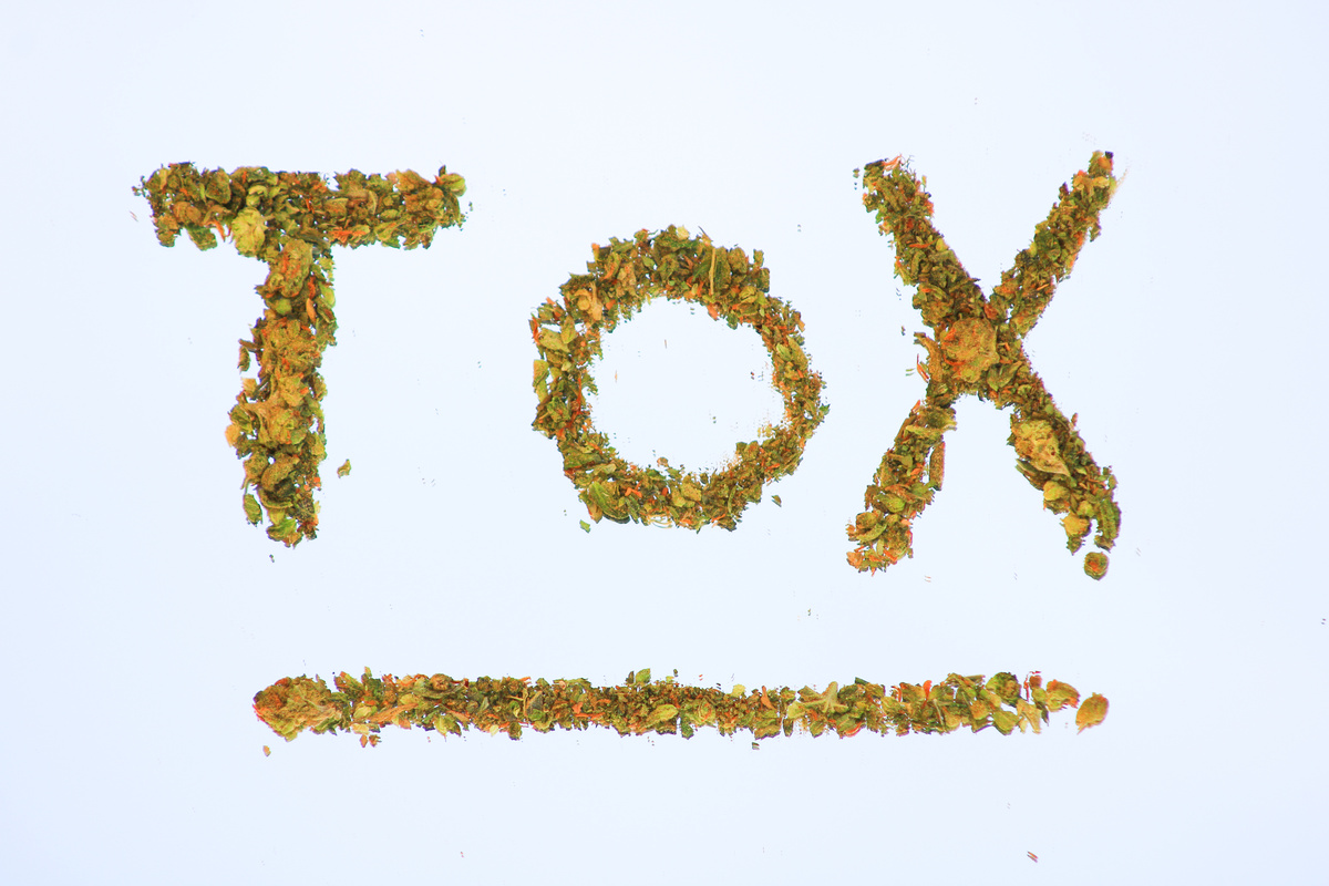 Tox written with marijuana